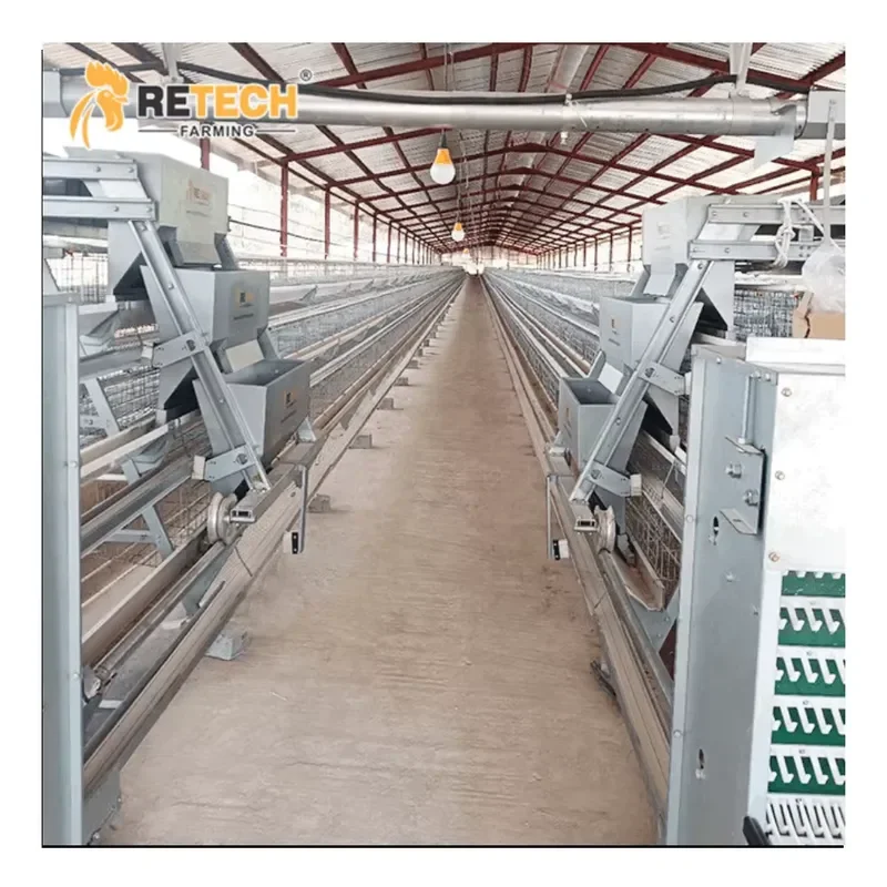 Hot Sale A Type Chicken Cage Layer Bird Breeding Cages for Chicken