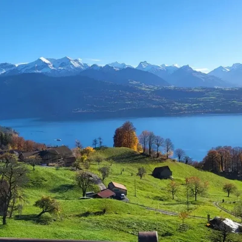 

FLYCOLOR WIFI Programming Module - Wireless App Programming & Real-Time Data Monitoring for Kraken WinDragon Series ESC