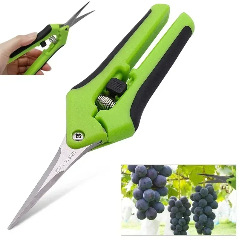 6.5 Inch Gardening Scissors Hand Pruner Pruning Shears with Straight or Elbow Stainless Steel Blades for Plant Trimming