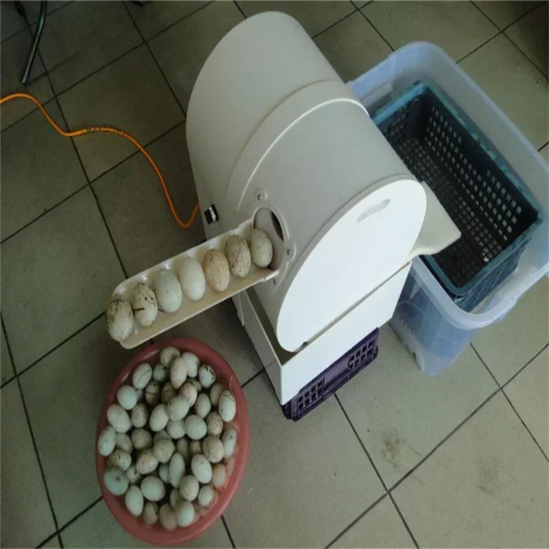 220V/120W New Poultry Farm Chicken Duck Goose Egg Washing Machine