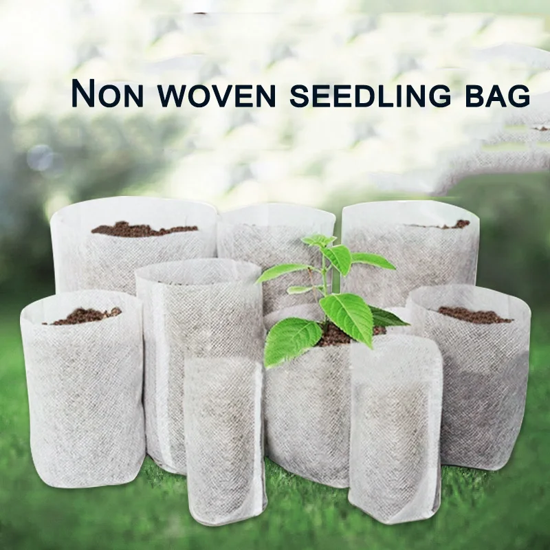 100PCS Non-Woven Se… - image