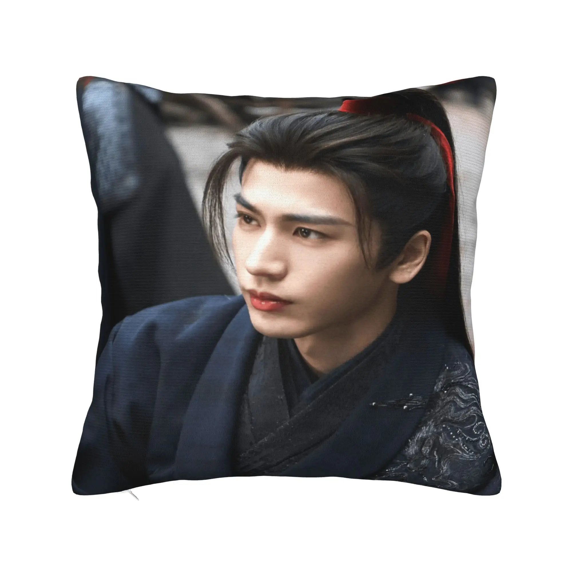 Pursuit of Jade Pillow Case Zhang Linghe Tian Xiwei Graphic Pillow Cover Cute Funny Pillowcases For Sofa Home Decoration