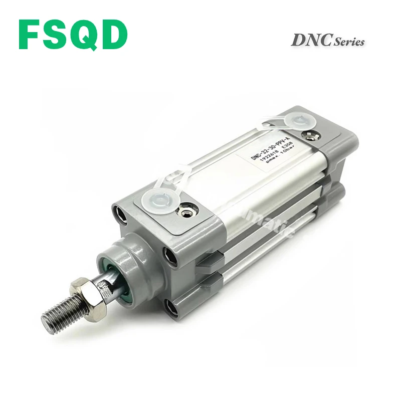 DNC-32 40 50 63 80 100 125-20 25 30 40 50 75 100 125 150 175 200 250 300 400 500 600-PPV-A Standards-based Cylinder DNC Series