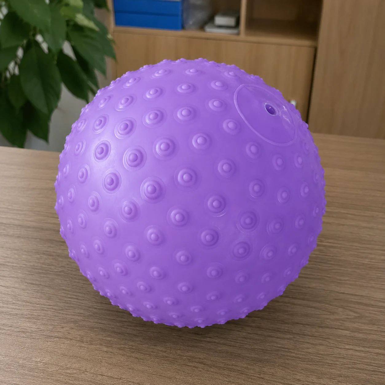25cm 텍스처드 운동볼, 코어 트레이닝, 밸런스 및 - Pilates Yoga Ball Workout 리뷰 및 가격
