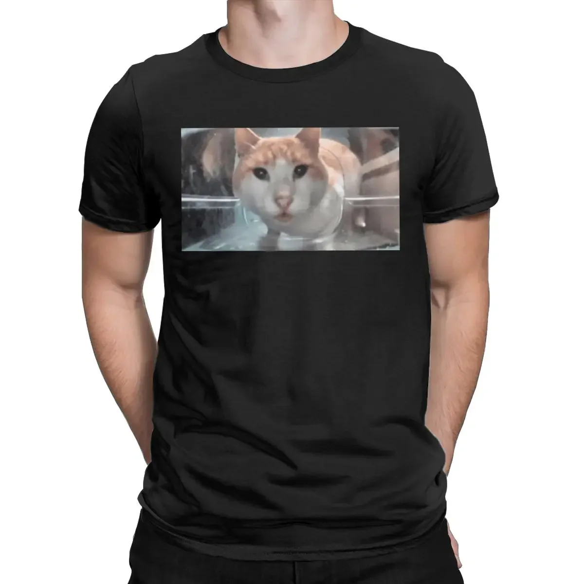 Cat Eating Looking Up Mr Fresh Side Eye Stare Meme T Shirt Men's Pure Cotton T-Shirt O Neck Tee Shirt Short Sleeve Clothes