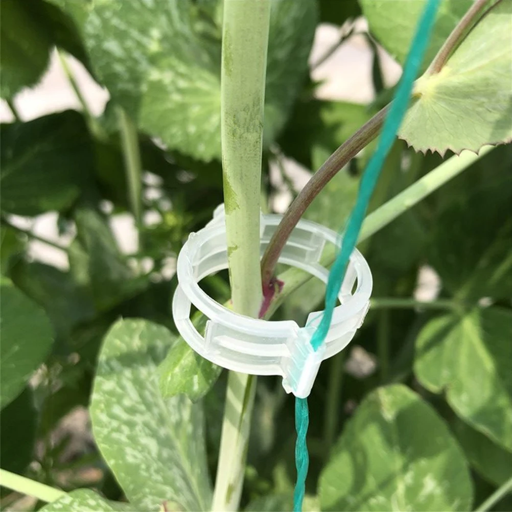 

300 Pcs Gardening Fixing Clip Vine Plant Support Clips Supports Vines Plants Orchid Flower
