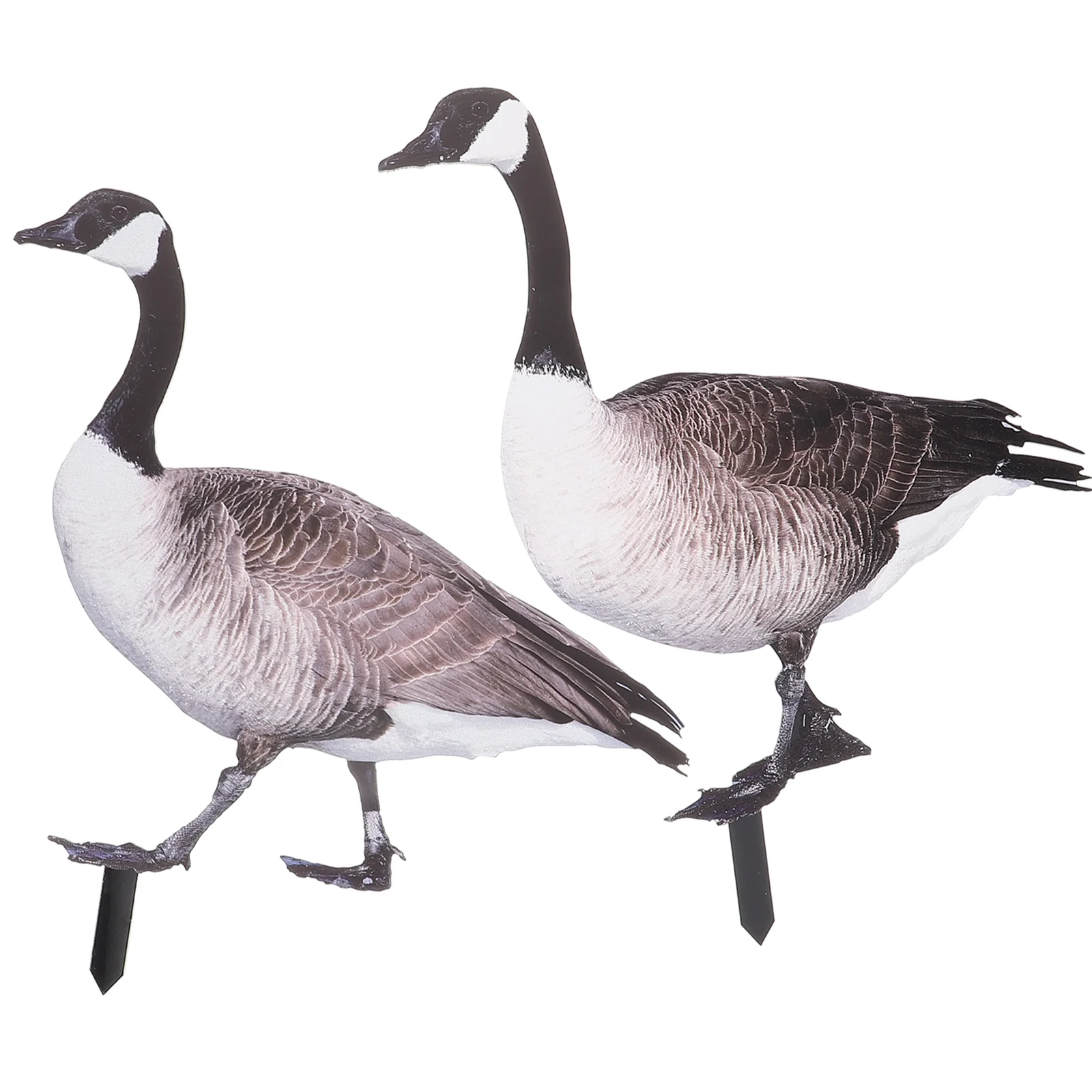 

2 Pcs Duck Card Yard Stake Garden Ducks Acrylic Animal Sign Stakes Ornament Courtyard Insert