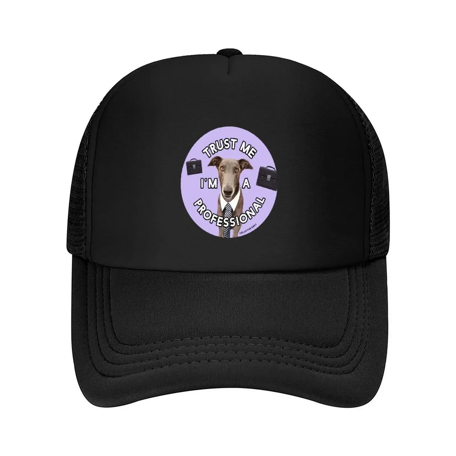 2026 Trust Me I'm a Professional Baseball Cap Trucker Cap Sunscreen custom caps designer cap For Girls Men's