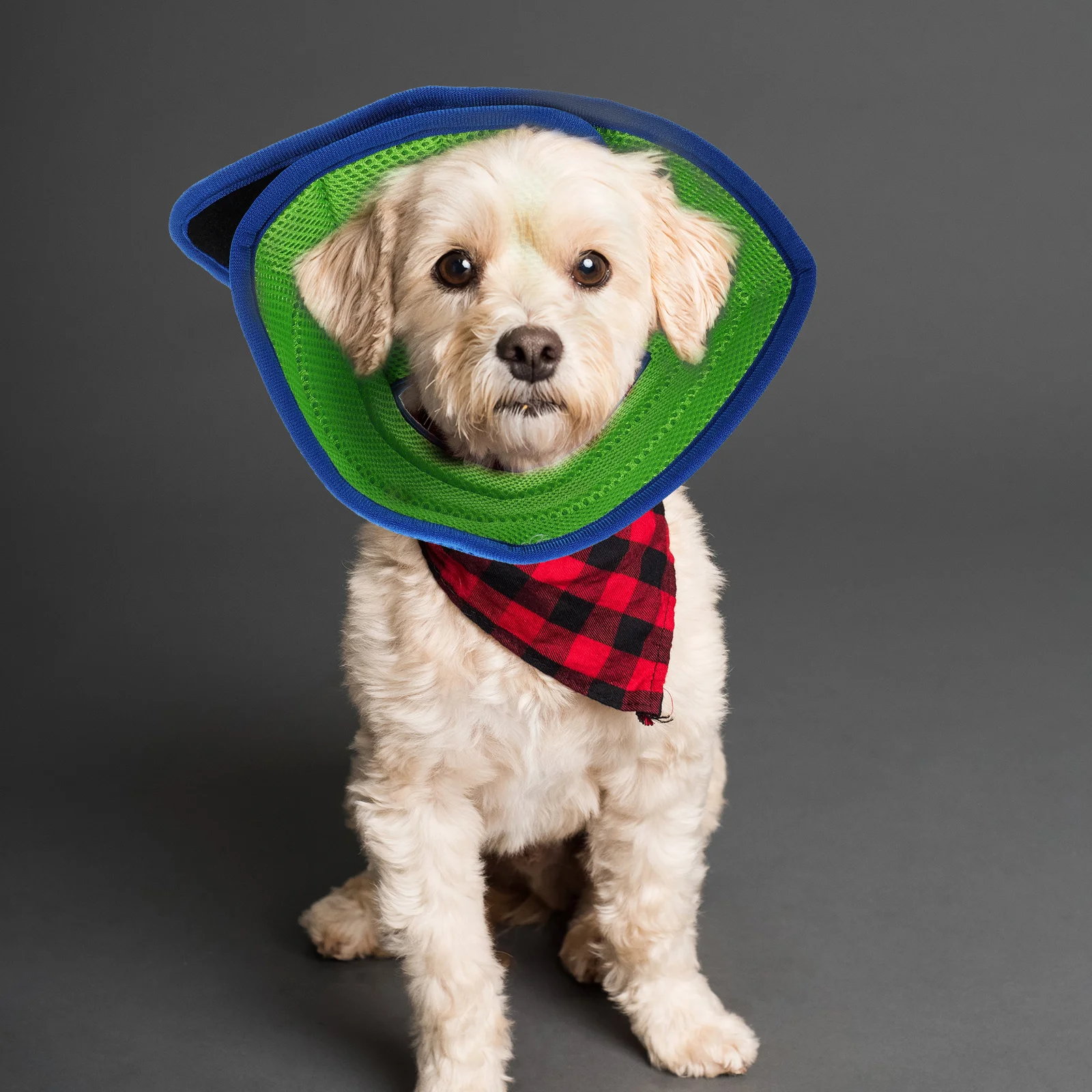 

Adjustable Pet Recovery Collar Dog Cat Inflatable Neck Cover Protective Surgery Healing Soft Cotton Anti-Lick Bite Scratch