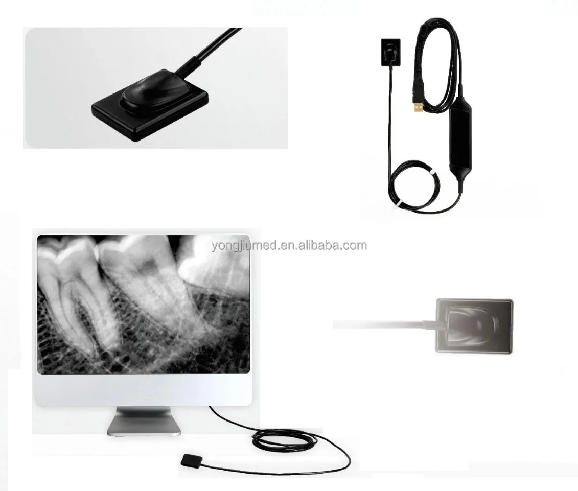 Portable Digital Denal X Ray Sensor Price Wireless USB RVG Dentl Sensor X Ray DR Camer for Denta Clini