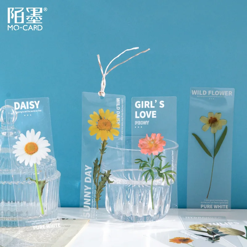 5 قطعة/الحزمة معهد النباتات الطبيعية سلسلة PET شفافة المرجعية الأدبية Ins المجففة زهرة كتيب كتب القراءة الملحقات