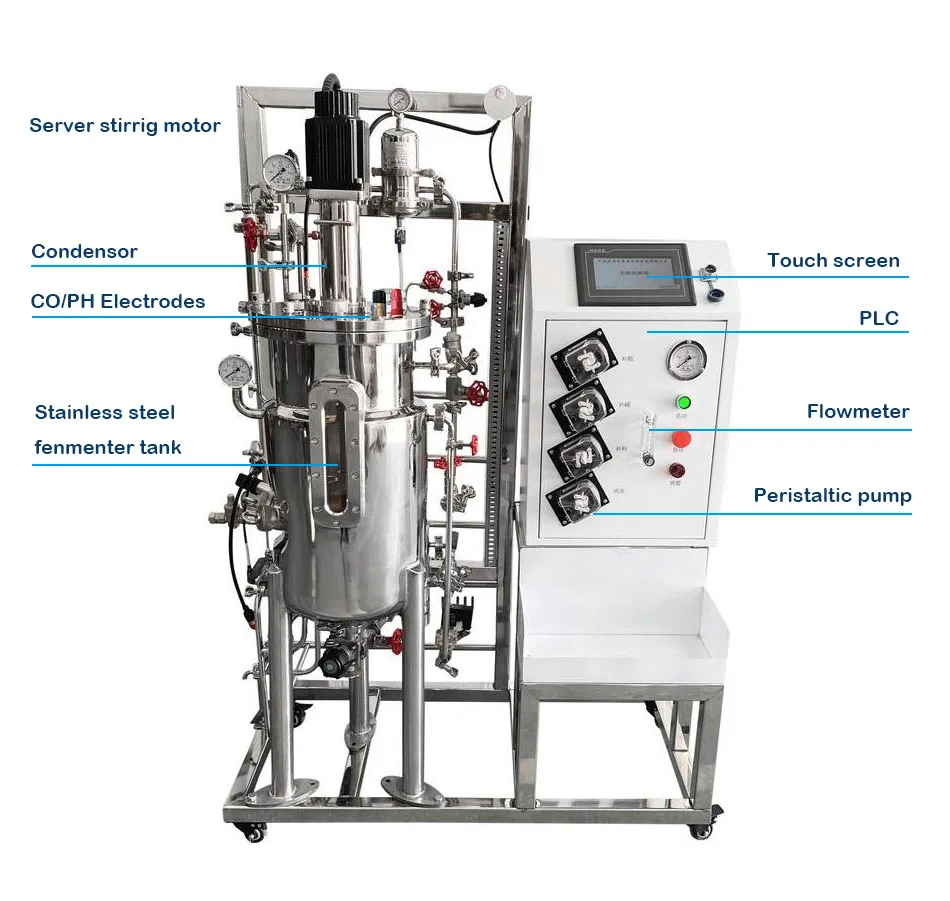 MAF  Manufacturer Fermentation Bioreactor Immersion System Fermenter Bioreactor Probiotic Fed Batch Stainless Steel Price