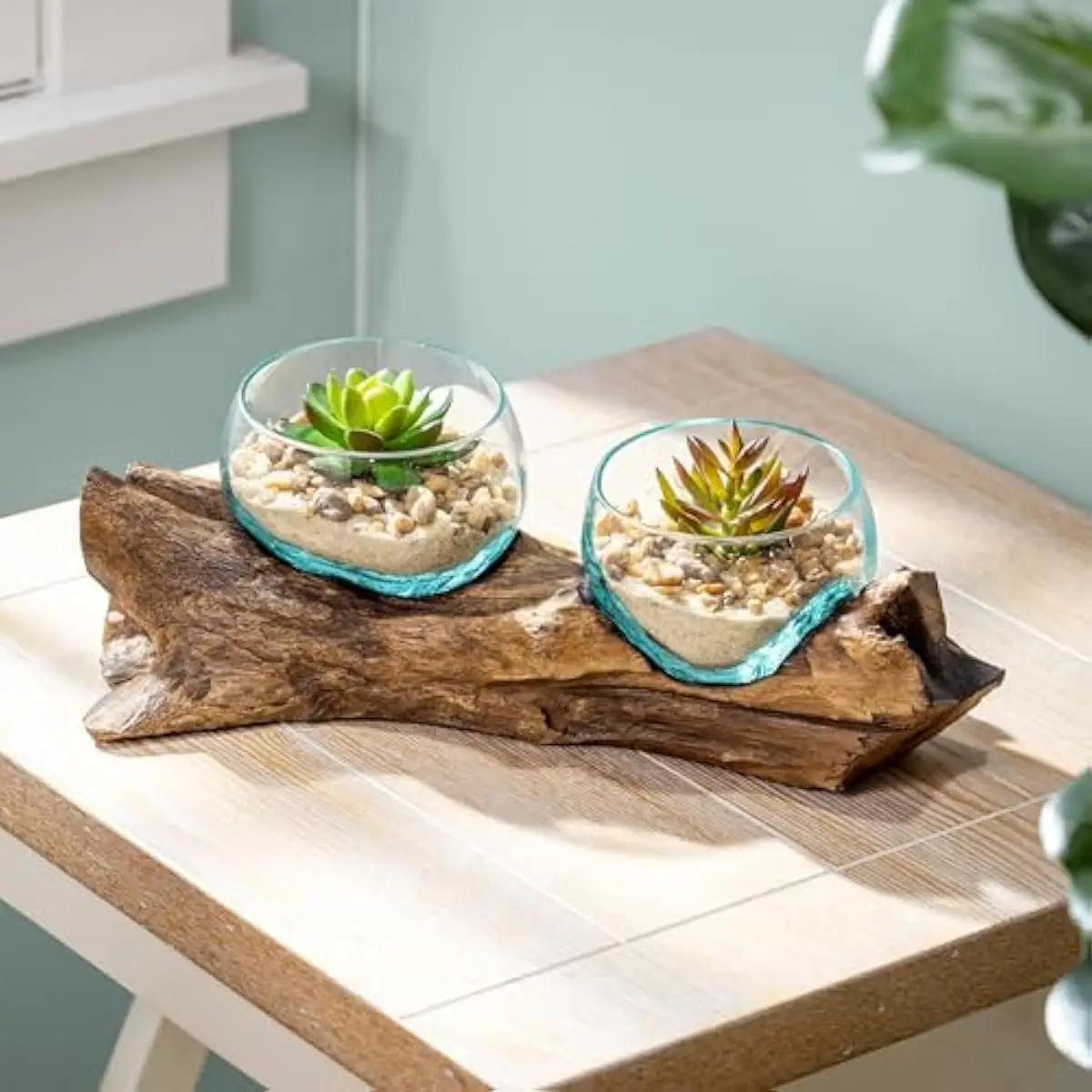 Set of Two Unique Handcrafted Glass Terrariums Featuring Organic Teak Driftwood Bases | Bubble-Textured Blue-Tinted Vessels for