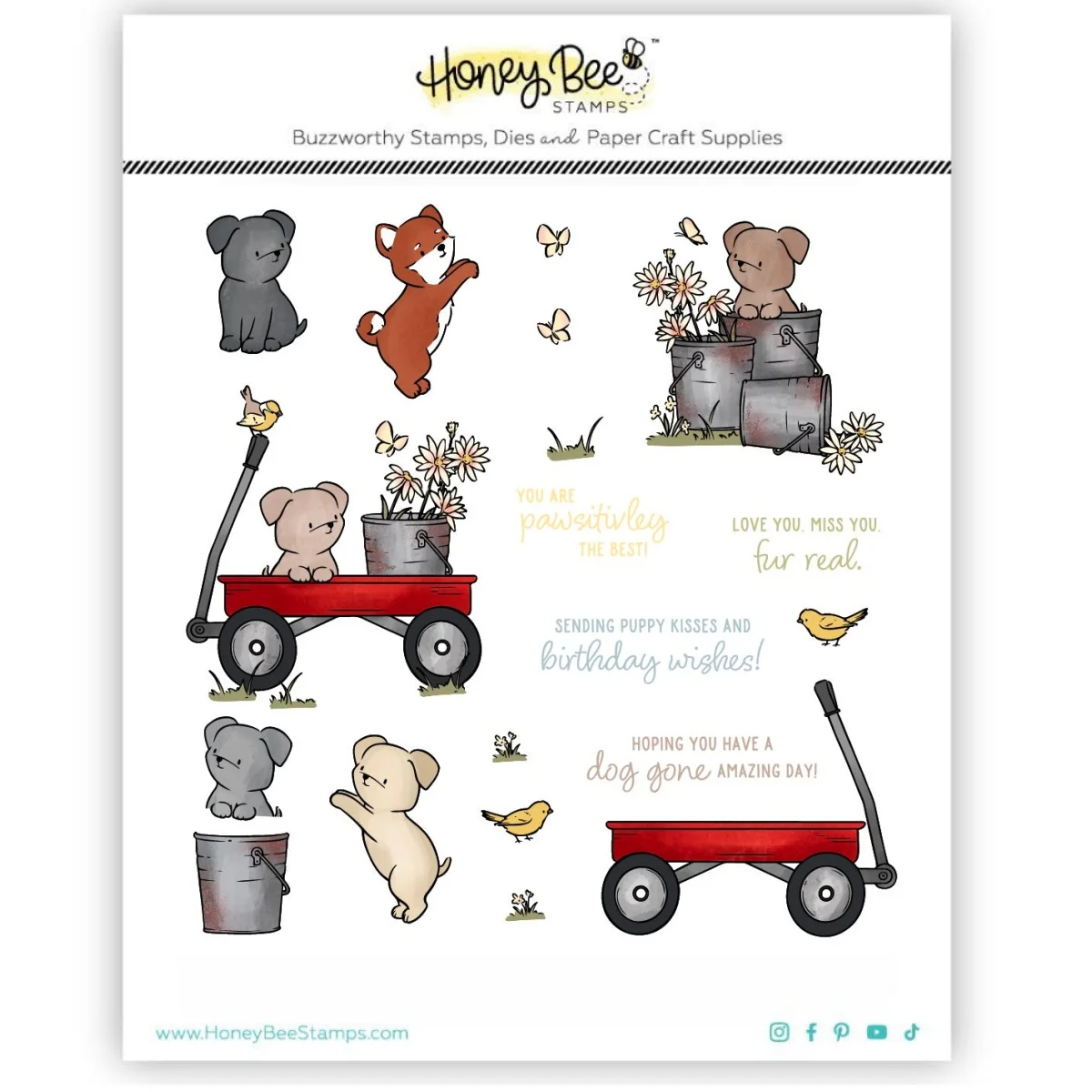 

Spring Dog Gone Cutting Dies Clear Stamps For DIY Scrapbook Craft Decoration Embossing Template Supplies Greeting Card 2025 New