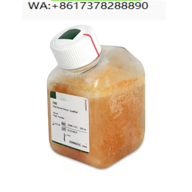 Genuine 10099141C Australian fetal bovine serum, laboratory consumables, reagents, cell culture medium