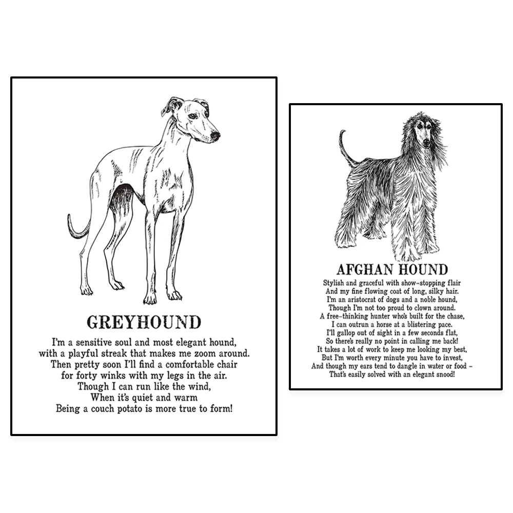Greyhound Print, Afghan Hound Print Illustrated Poem Poster, Dog Prints, Dog Love Gift Canvas Print