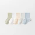 Boy mesh