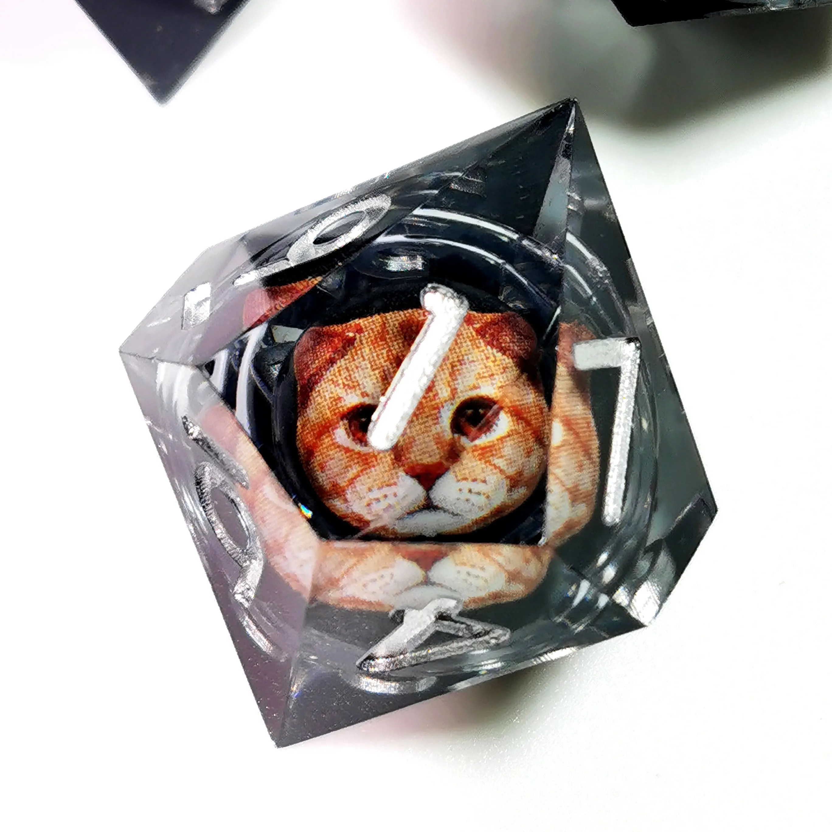 DnD 주사위 세트-고양이 패턴 송진 주사위, 드래곤 아이 코어 스피닝, D & D RPG 게임용 7 다면체 회색 주사위