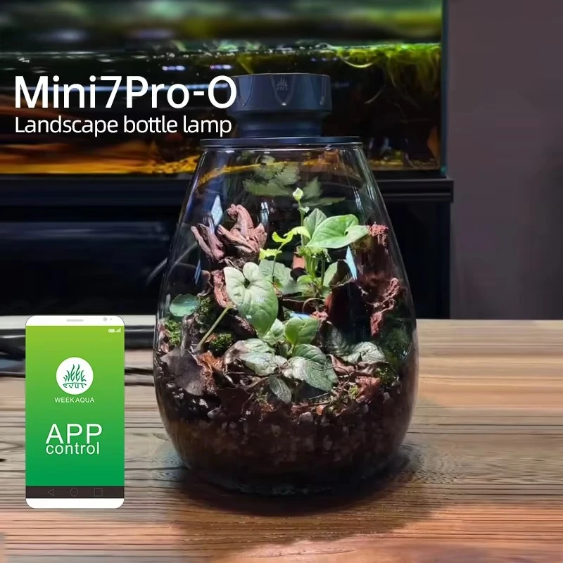 COB Microlandscape Pflanze Füllen Licht Desktop Dekoration Ökologische Flasche Beleuchtung Aquarium Pflanze Füllen Licht APP Dimmen Timer