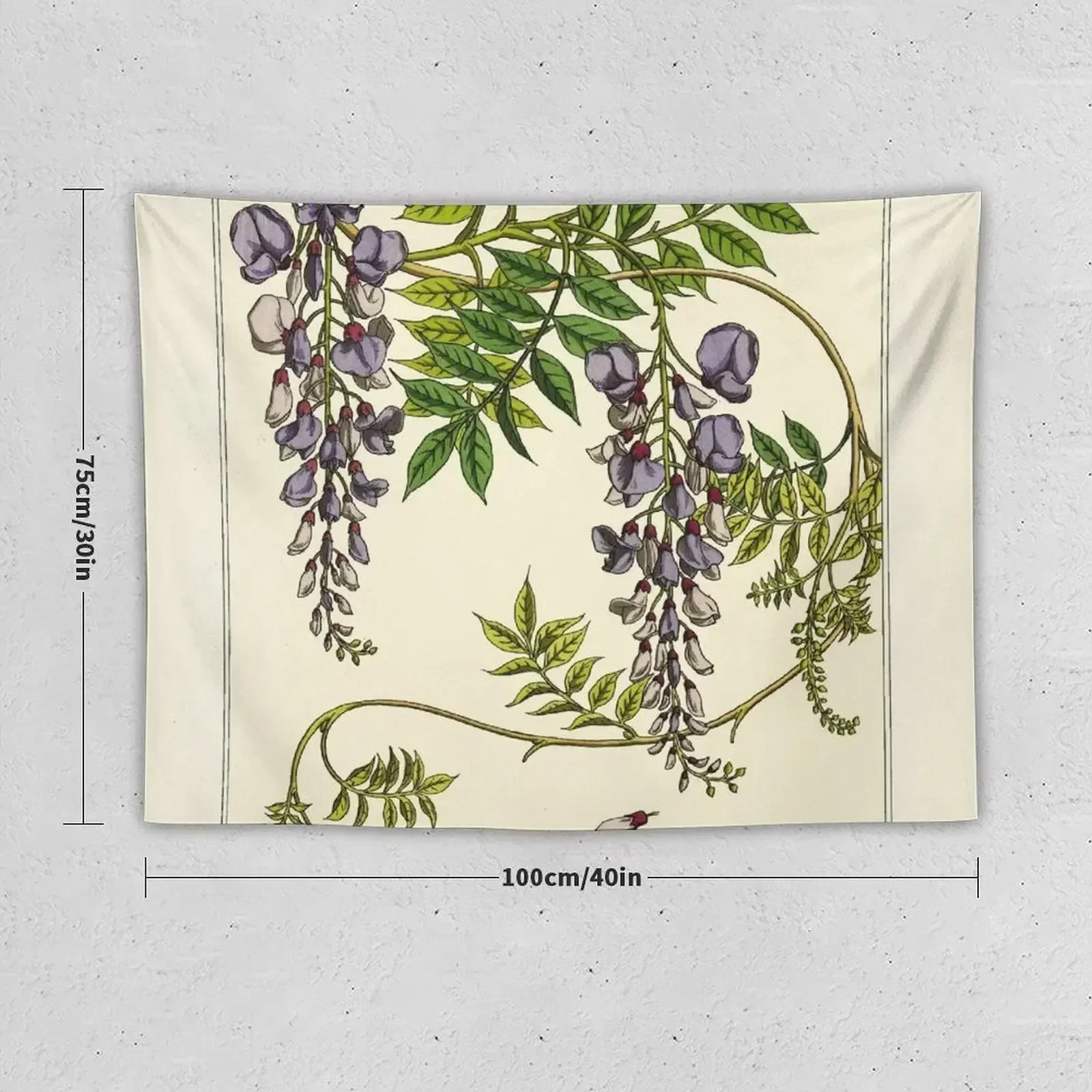 French botanical flower plate - Maurice Verneuil - Glycine Tapestry Decoration For Rooms Carpet Wall Tapestry