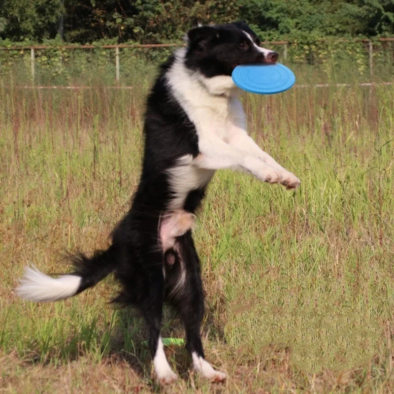 7 Farben Silikon-Flugscheiben Interaktives Hunde- und Katzenspielzeug Kaubeständige Flugscheiben für Welpentraining Spaßiges Haustierzubehör