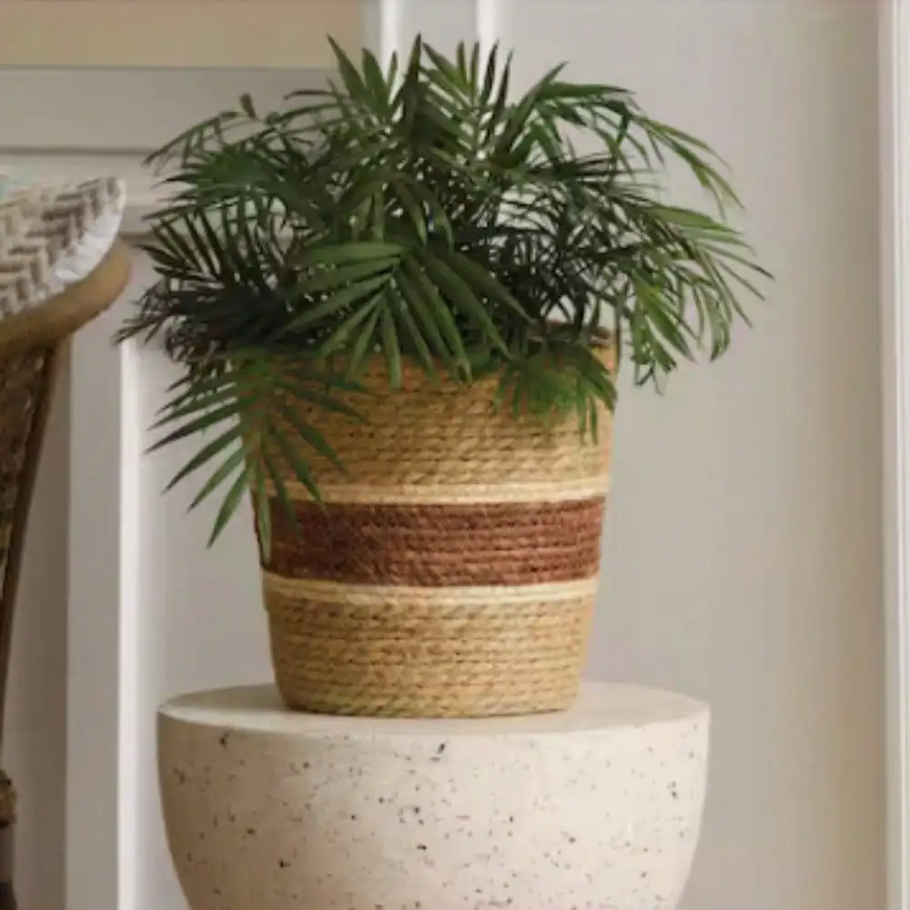 

Flower Pots, Natural Tahiti Woven Basket Planter Made of natural cotton and cattail reed for unique look