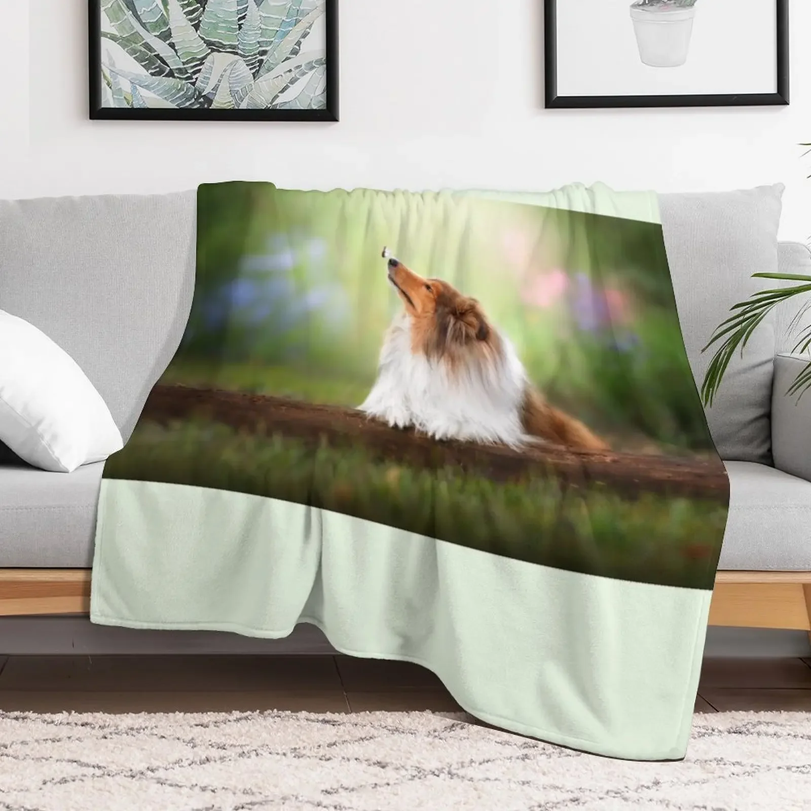 Rough Collie dog relaxes in the garden Throw Blanket Flannel sofa bed Blankets