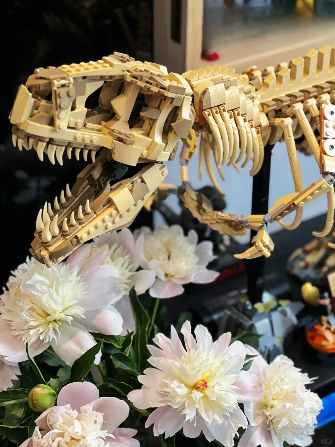 Creative series 3145pcs100cm dinosaur bone Tyrannosaurus fossil model building blocks home furnishings toys birthday gifts