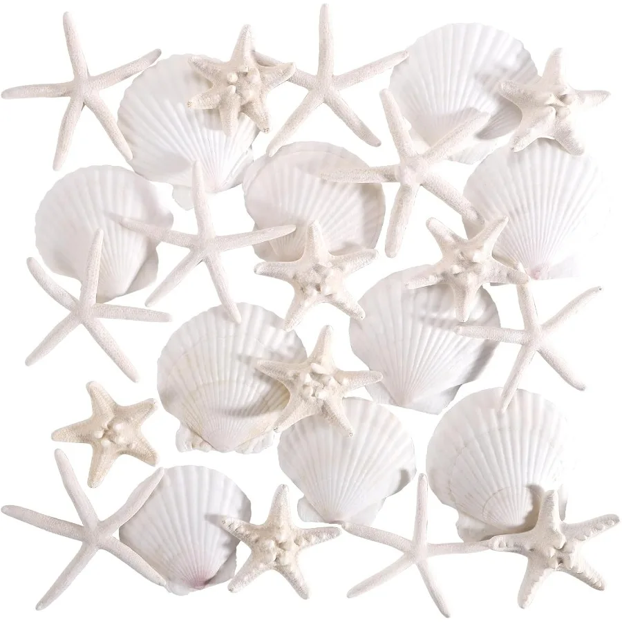 

PPCLION 24 PCS tural Starfish 2-4" and Scallop Shell for Crafts Making Beach Theme Party Wedding Decoration Home Wall Decor Chr