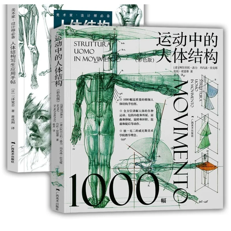 Human Anatomy Drawing Set 2 Books: Anatomy Sketching Reference+Human Anatomy in Motion (Color Edition) Skeleton Muscle Drawing