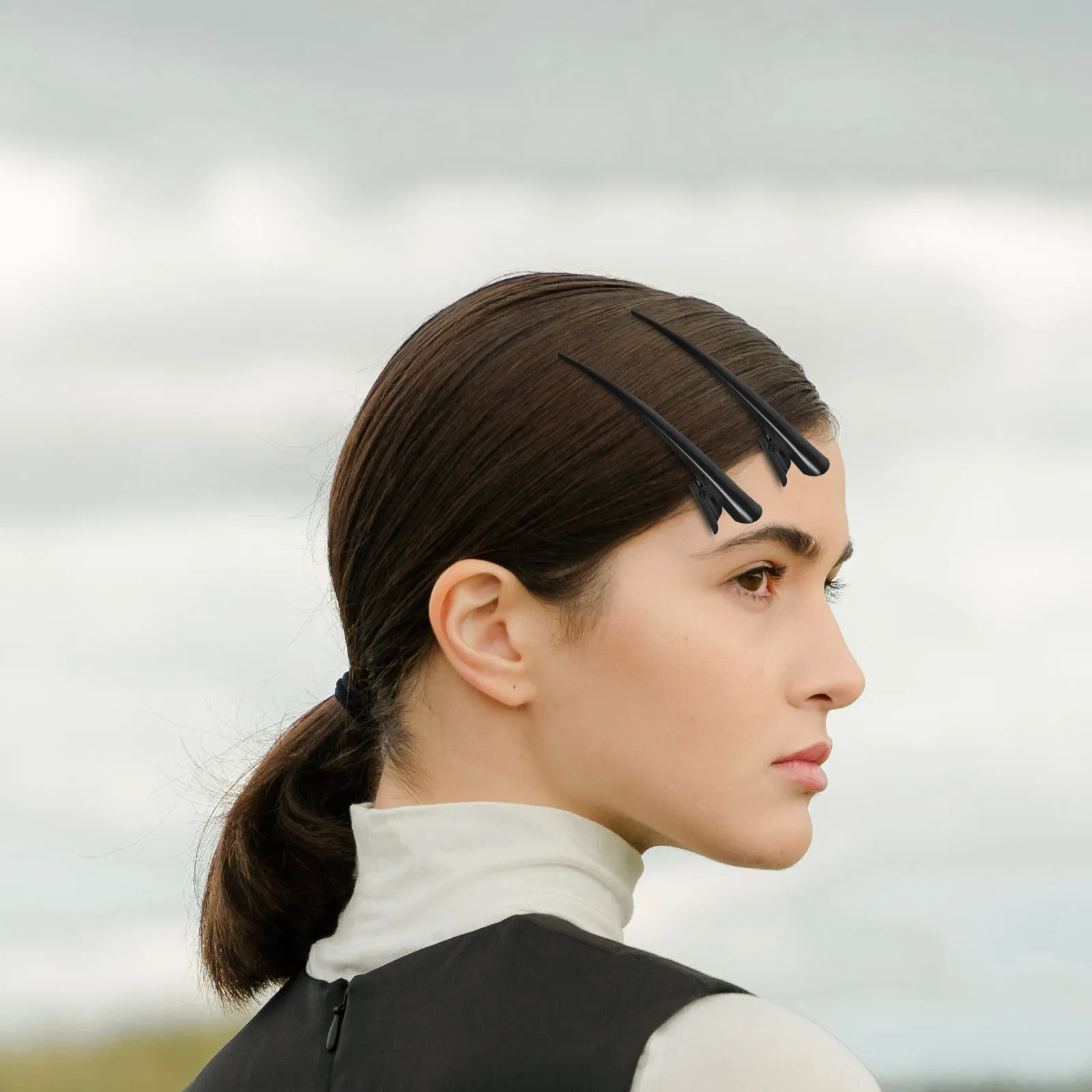 

3 Pcs French Hair Clips for Metal Large Beak Alligator Barrettes Long Bill