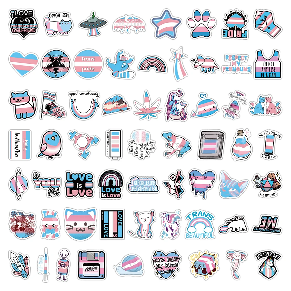 10/30/60PCS Transgender Pride LGBT Trans Stickers Car Bike Travel Luggage Guitar Laptop Fridge Cartoon Decal Kid Sticker Gift