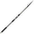 Rod