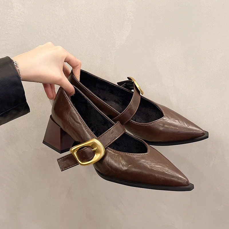 

New Designer Vintage Pointed Toe Women Mary Jane Shoes Fashion Shallow Buckle Shoes Spring Ladies Elegant Dress Thick Heel Shoes