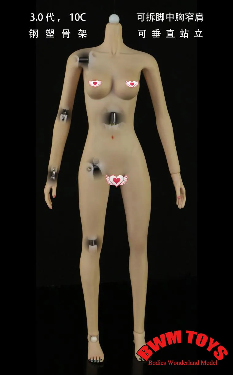 سوبر مرنة الفولاذ المقاوم للصدأ تمثال نصفي متوسط ، ضيق الكتف سلس الجسم لمدة 12 'عمل الشكل ، JOQ-06C ، JOQ-10D ، 1:6 Lan 3.0