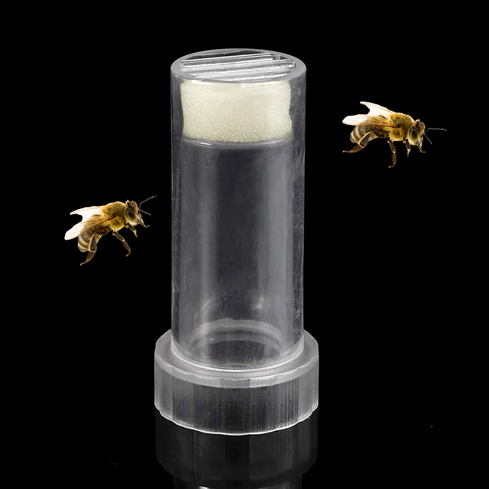 Queen Bee Marking Cage Bottle Plastic Catching Transparent Cut Wing Locate Harmless Easy Identification Beekeeping Tools