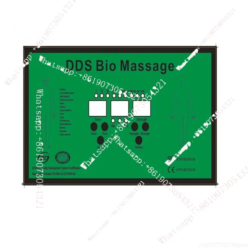 

6th Dds Massage Therapy Acid-base Flat Dds Bio Electrotherapy Massage Machine
