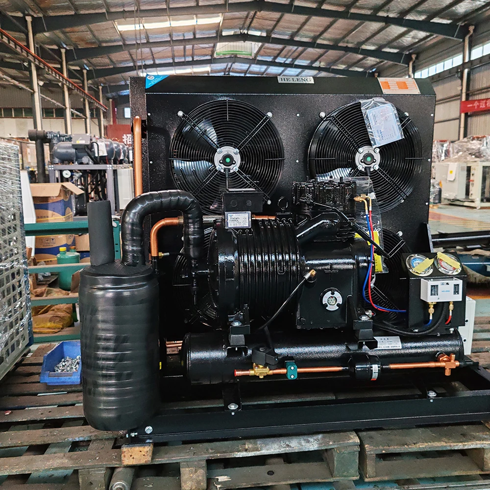 Professional Customized Version Air Conditioning System for Dumpling Quick  Frozen Warehouse