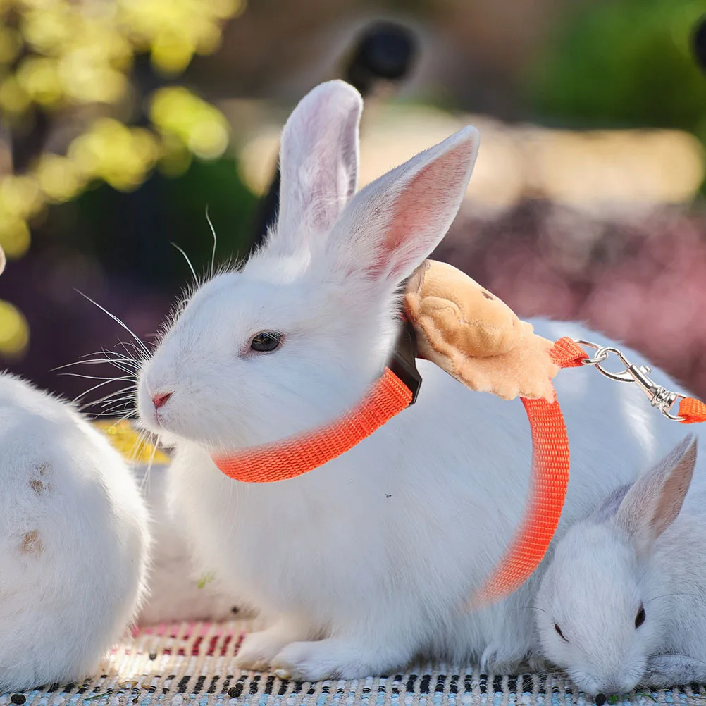 

2Sets Pet Harness Leash Set Cartoon Design Small Pets Adjustable Wear-Resistant Traction Rope for Rabbit Walking Outdoor Use