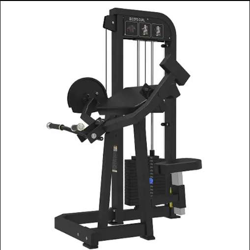 

Best-Selling Wholesale Gym Fitness Equipment Steel Biceps Curl Machine for Strength Training
