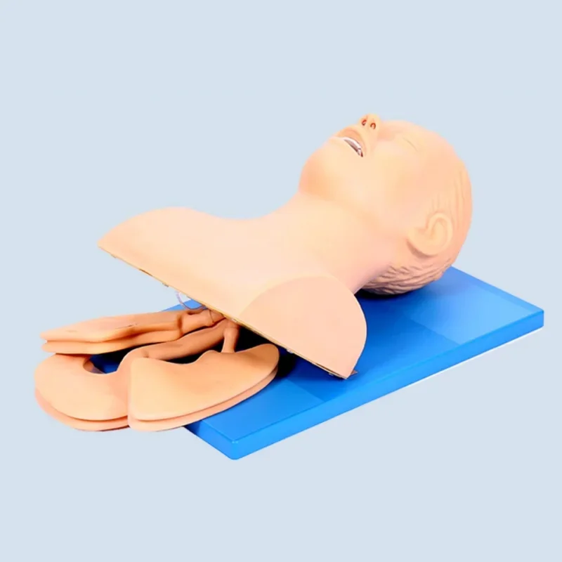 Electronic Airway Intubation Mannequin 2