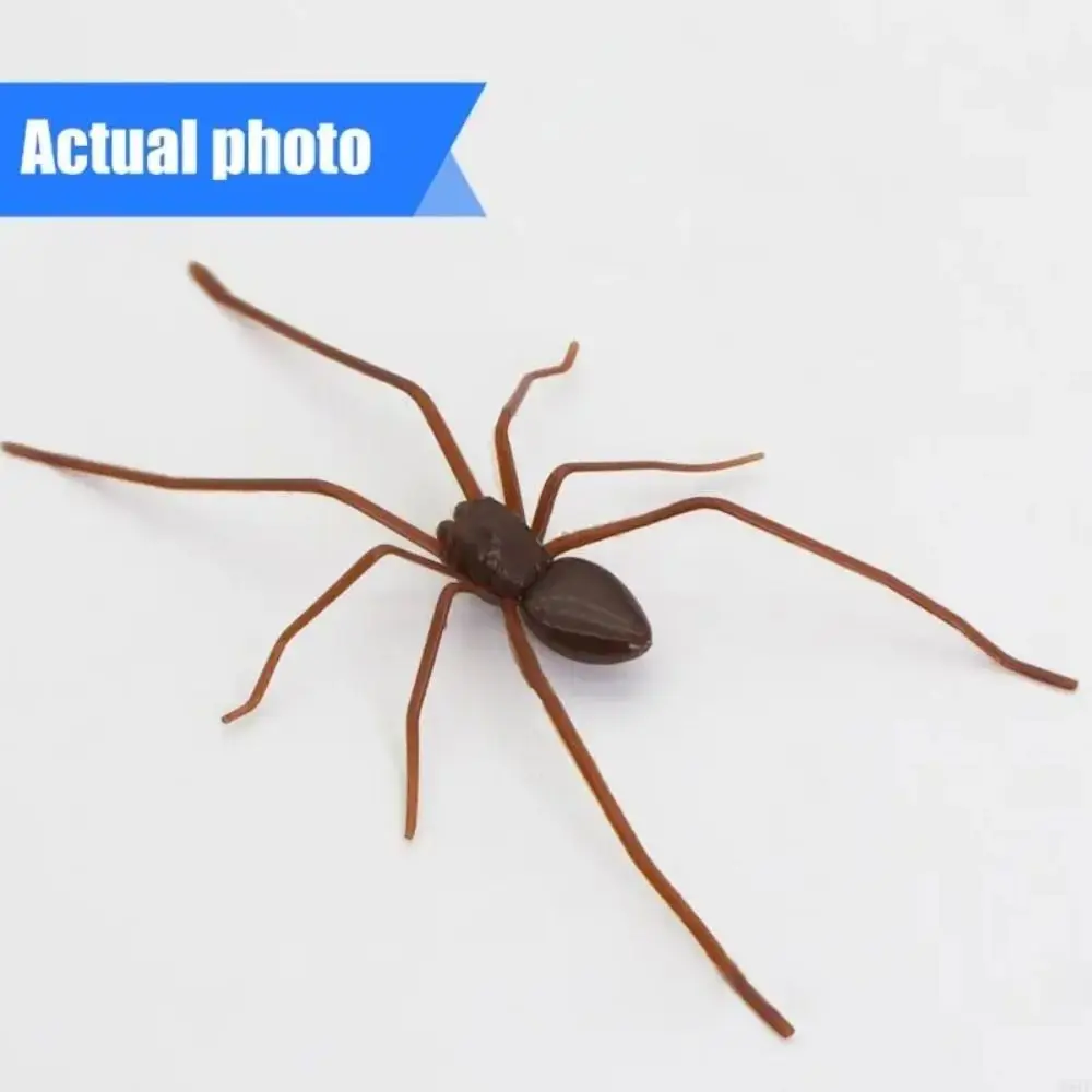Gag Present Magnet Simulation Spider Toy 3D Design Funny Spiders Decoration Plastic Animal Spider Prank Toys Prank Gift