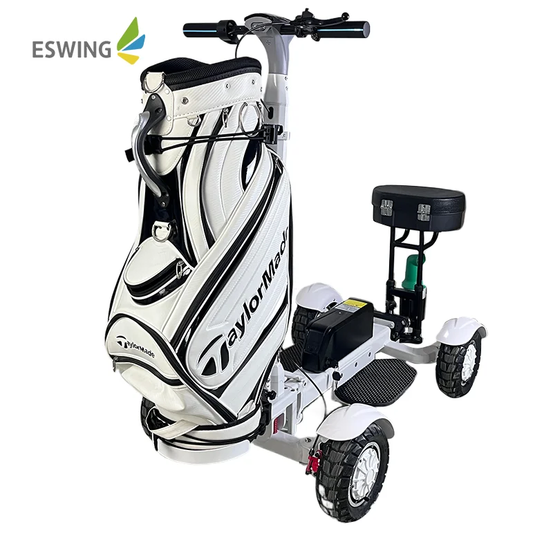 10 Inch Tire 48V 4-wheel Powerful 2400w Folding Electric Golf Scooter Esay To Disassemble  Electric Golf Cart