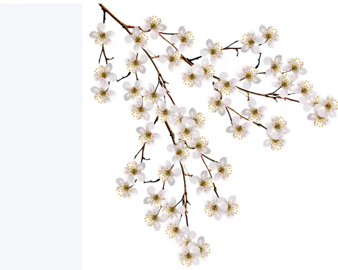 Q.16122112 فرق الشحن ص51--4442 #1