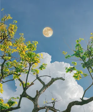 جرس باب يتضمن شاشة عرض فيديو لاسلكي حماية أمنية أجراس الباب 4.3 بوصة IPS عرض الأشعة تحت الحمراء للرؤية الليلية مراقبة جرس الباب مقاوم للماء #1