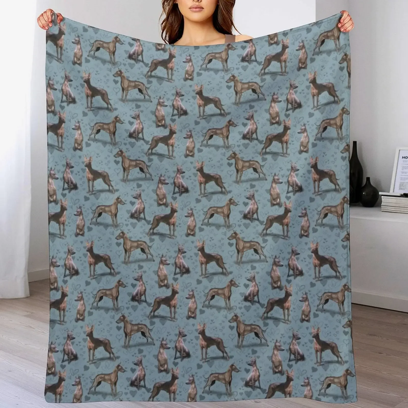Manta suave con diseño de perro Xoloitzcuintli sin pelo mexicano, decoración para el hogar, para sofá y dormitorio
