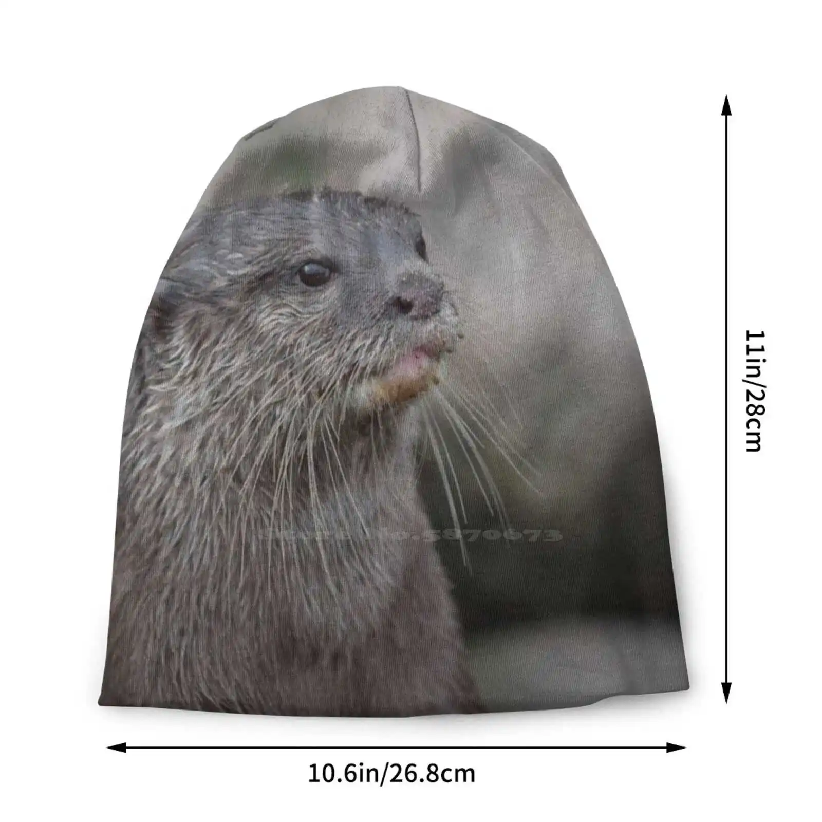 Small Clawed Otter. Knitted Hat Warm Beanie Outdoor Caps Small Clawed Otter Wet Looking Standing Observing Brown River Stream