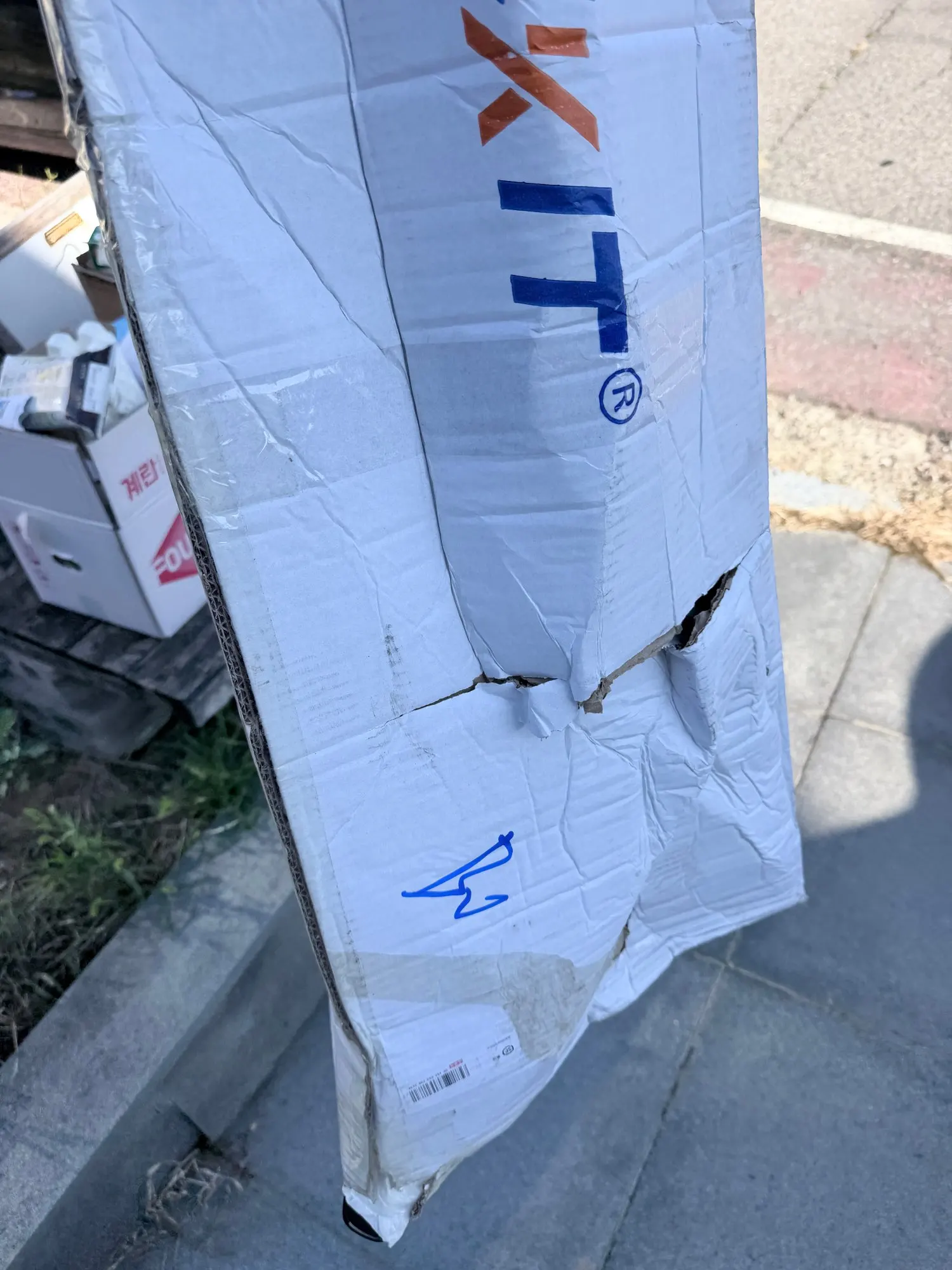 실물 포토 리뷰