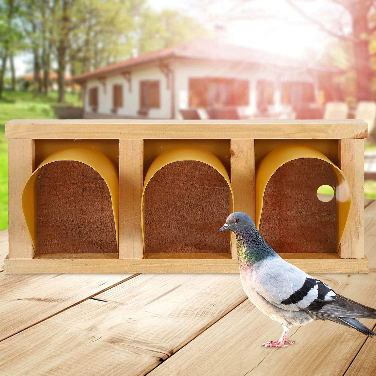 

Pigeon Entrance Door European Style One Way Bird Cage Trap For Racing Pigeons Easy Install Bright Color Durable Cage