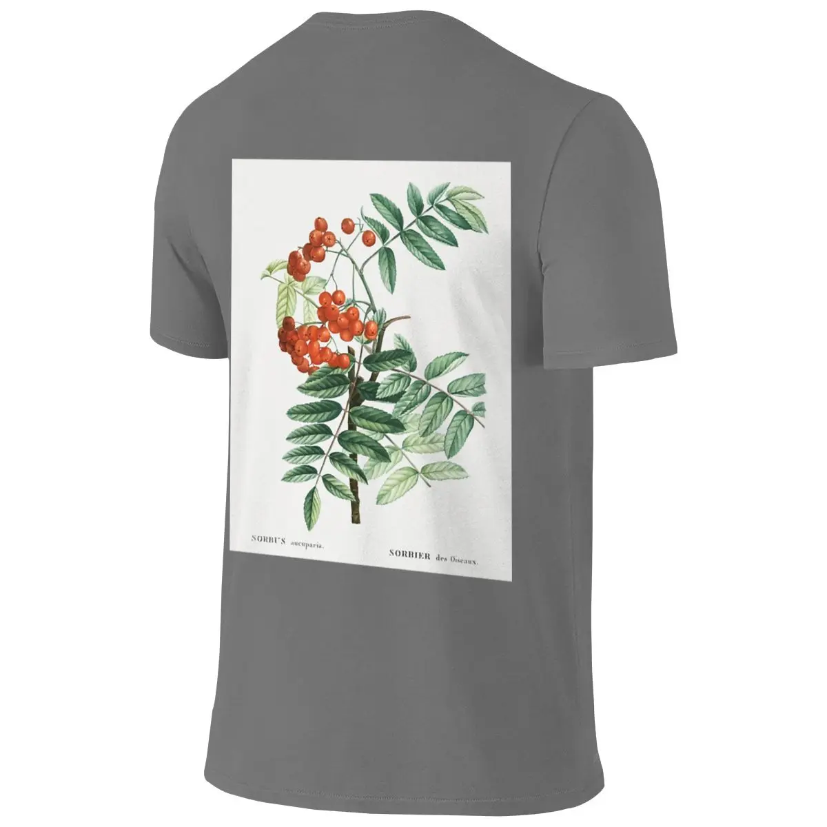 Mountain Ash Botanical Illustration Home Reversible T-shirt Sporty Trendy Three-Dimensional Printing Tees